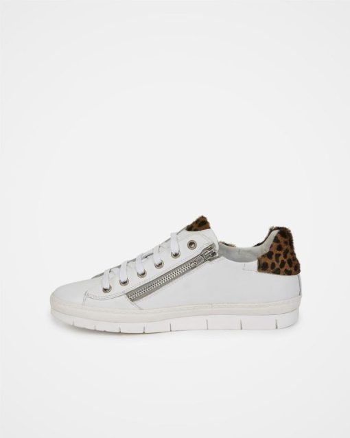 Athensurban.shope62766811e 4